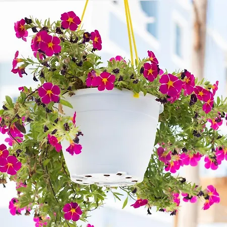 Captain Elias 2 Appartement *