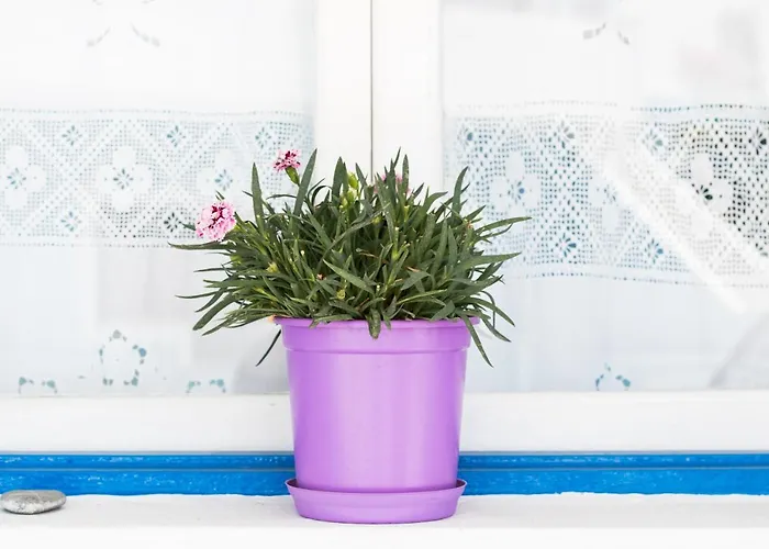 Appartement Captain Elias 2 Foiníkion