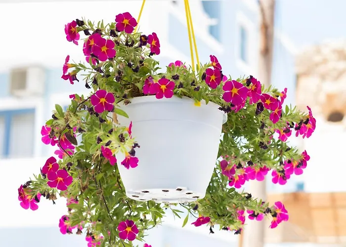 Captain Elias 2 Apartamento *